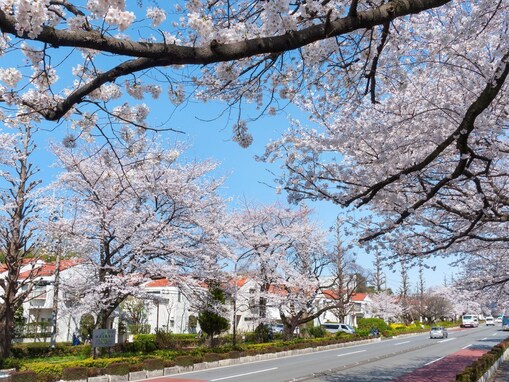 東京郊外で「治安がいいと思う市」ランキング！ 2位「国立市」、1位は？【専門家の解説も】