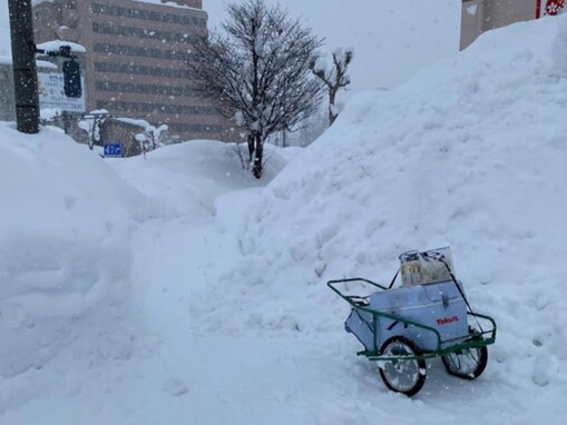 「ヤクルトレイディー、見ませんでしたか」シソンヌ・じろうの投稿に「スタッグしてJAF待ちでしょうか」