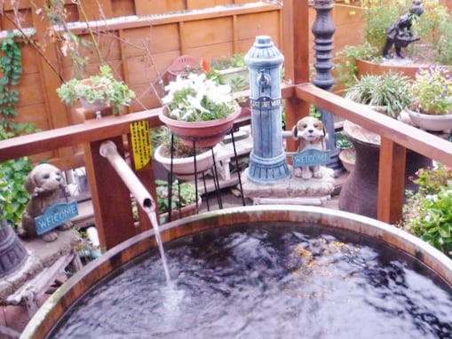 【楽天トラベルセール】「戸倉上山田温泉 心がふれあう民芸の宿 中央ホテル」が今だけ特別価格に！ 安心感あふれるレトロ空間【2月9日】