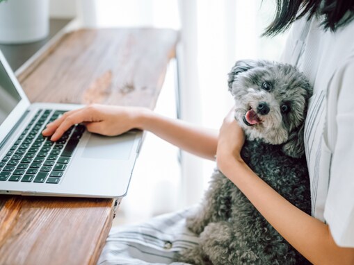 「物を投げることも少なくない」31歳女性、年収100万円未満。不仲な両親と実家暮らしを続けるワケとは？