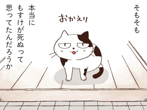 【まんが】余命宣告された愛猫に何ができる？ 猫の日に学びたい、後悔しないための“看取りの備え”
