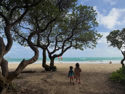 「流石ダルちゃん」ダルビッシュ有の妻・聖子さん、夫からのバレンタインギフトを報告「素敵なご夫婦」