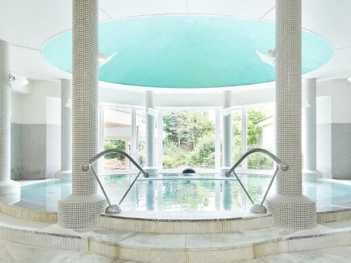 【新潟県の人気日帰り温泉】「秋葉温泉 花水」は里山に佇む癒やしのヒーリングスパ。化石海水の温泉で心身ほぐれる