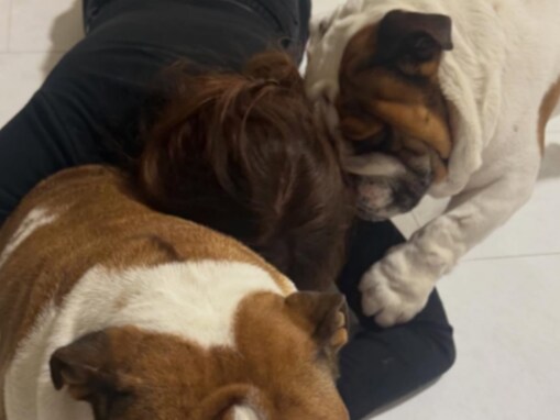 「激しめの愛情表現…！」北斗晶、愛犬とたわむれるショットに「幸せの極み」「可愛いすぎて滅！」の声