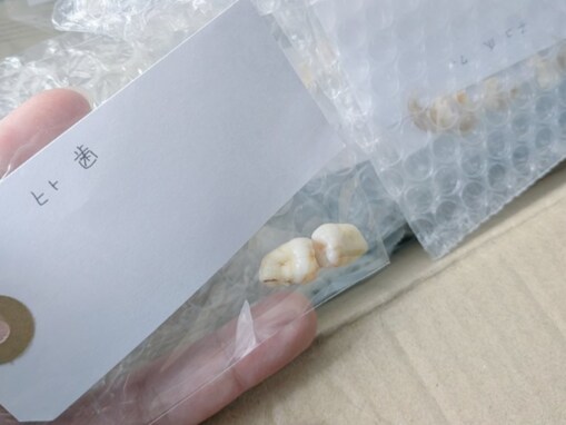 「殺った？」女性VTuber、「彼氏がいる…？」へのアンサーが話題に！ 「彼氏だったもの」「事件です」