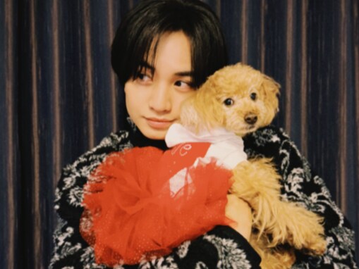 中島健人、愛犬とのショットに「似てる」「どっちがどっちかわからない」の声！ 「愛が伝わってくる」