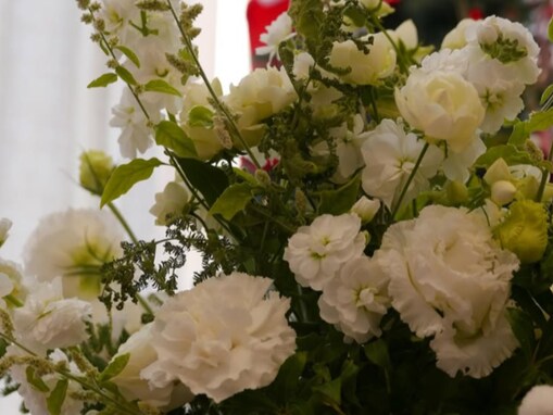 「誕生日近くの撮影日」武井咲、スタッフからもらったプレゼント公開「おシャンティだね」「素敵です」