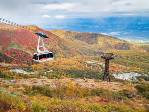 好き＆行ってみたい「栃木県の道の駅」ランキング！ 「日光」などを超える1位は？【2026年調査】