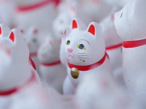 2026年3月17日は「最強トリプル吉日」！ 一粒万倍日×寅の日×大安に金運を逃す「NG行動」とは？