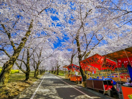 【群馬県】「癒しの湯…」日帰り入浴やお花見も楽しめる「赤城温泉」の魅力とは？