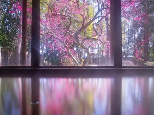 【楽天トラベル売れ筋1位】「生地温泉 たなかや」が選ばれる理由