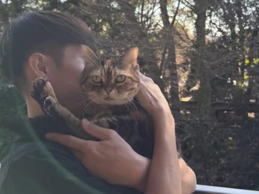 「心から大好きだよ」窪田正孝、愛猫の死を報告「世界で1番自由な猫だったね」「会えて本当に幸せだった」