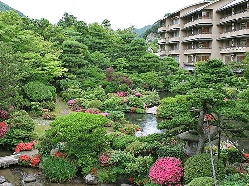 【福島県の人気ホテル】「磐梯熱海温泉 四寄彩 一力」が選ばれる理由
