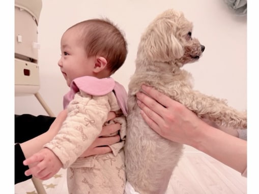 「可愛い過ぎん？」辻希美、次女・夢空と愛犬との“夢の背くらべ”を披露！ 愛くるしい姿に大反響