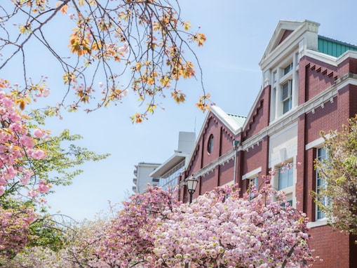 「天守閣を背景に3000本の桜」大阪府の“行ってみたい＆好きな桜の名所”7選！ 1位に称賛の声集まる【2026年調査】