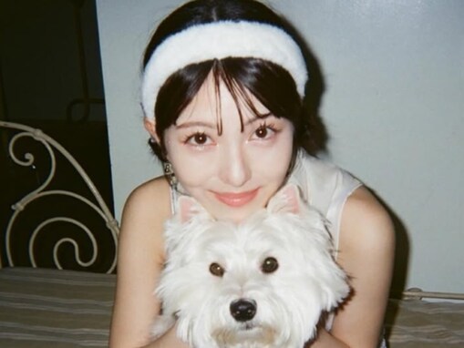 「可愛すぎて滅」浜辺美波、愛犬たちとのカレンダーショット公開！ 「メッチャ可愛い」「天使ですね」