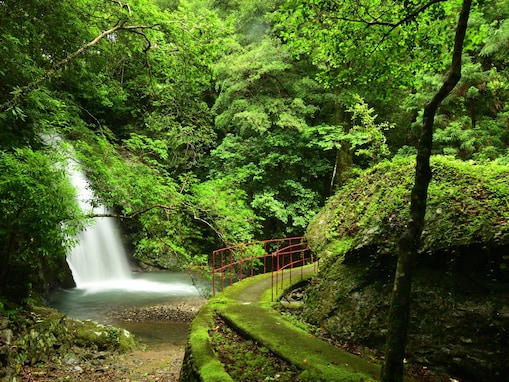 「クジラ料理の種類がたくさん」グルメが魅力的な“和歌山県の道の駅”ランキング1位に反響！【2026年調査】