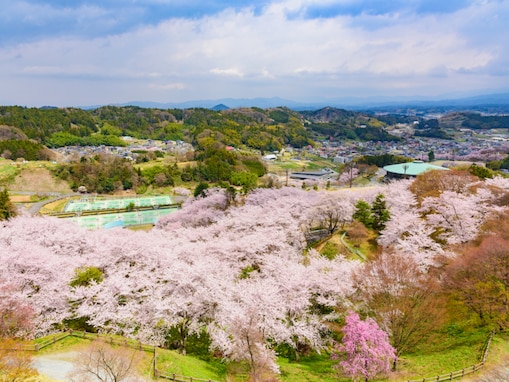 「2.2キロ続く桜のトンネルが壮観」福井県の“行ってみたい＆好きな桜の名所”ランキング1位に反響！【2026年調査】