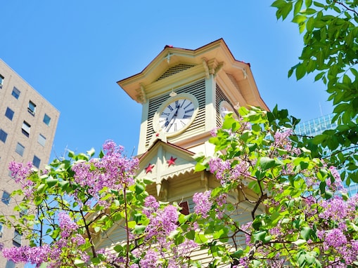 春に行きたいと思う「北海道の旅行先」ランキング！ 2位「札幌市時計台」を抑えた1位は？【2026年調査】