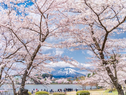 春に行きたいと思う「岩手県の旅行先」ランキング！ 2位「盛岡市」を抑えた1位は？【2026年調査】