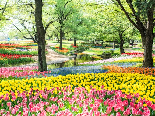 「いつ行っても外れがありません」春に行きたい“東京都の公園”ランキング1位に反響！【2026年調査】