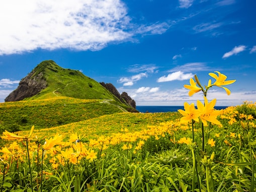 「ナンバープレートにしたい」と思う新潟県の地名ランキング！ 2位「佐渡市」を抑えた1位は？【2026年調査】