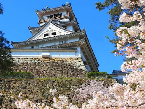 【男性が選ぶ】春に行きたい「高知県の旅行先」ランキング！ 2位「高知城」を抑えた1位は？【2026年調査】