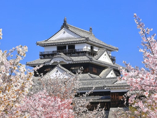 【男性が選ぶ】春に行きたい「愛媛県の旅行先」ランキング！ 2位「松山城」を抑えた1位は？【2026年調査】