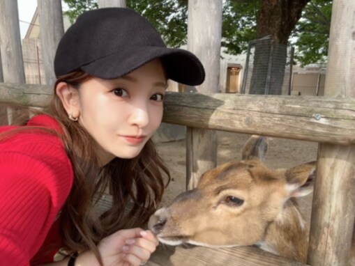 「ともちん埼玉来てたのかよ」板野友美、プライベートで東武動物公園へ！ 娘との姿に「ママしてますね！」の声