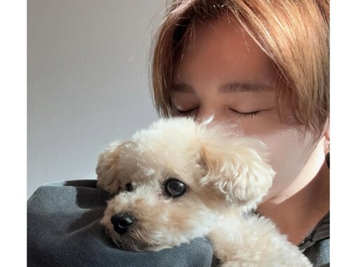 「アイドルを愛でるアイドル最高」山田涼介、愛犬とのツーショットに「完璧なファンサ」「可愛いが充満」