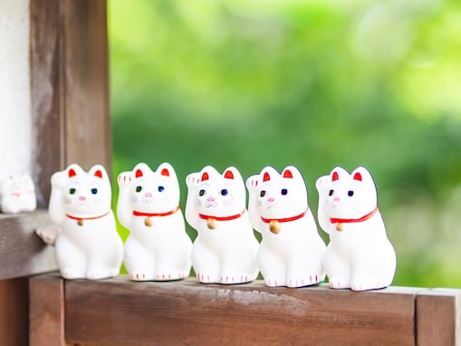 【トリプル吉日】5月17日は豊かさを育てる最強日！ 一粒万倍日×牡牛座新月に「やるといいこと」は？