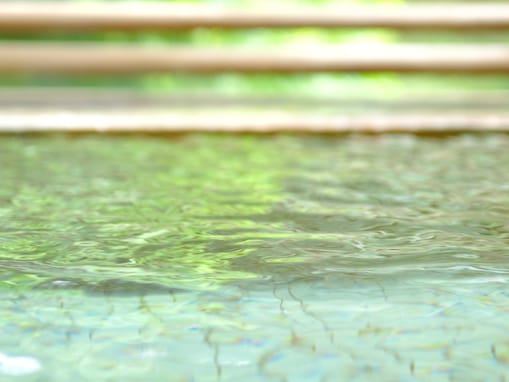 【埼玉県の穴場銭湯】「見沼ヘルシーランド」は健康増進とリラックスを両立できる施設。多彩な大浴場と20mプールでリラックス