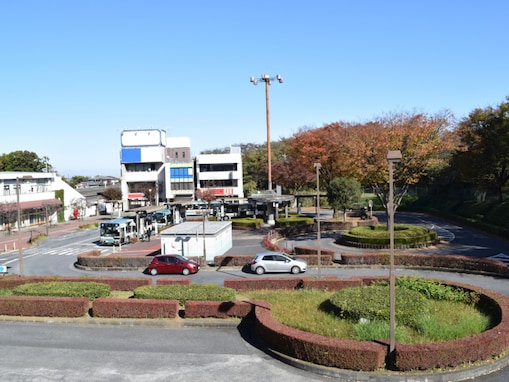 好き＆行ってみたい「埼玉県の商店街・市場」ランキング！ 2位「ジョンソンタウン」、1位は？【2026年調査】