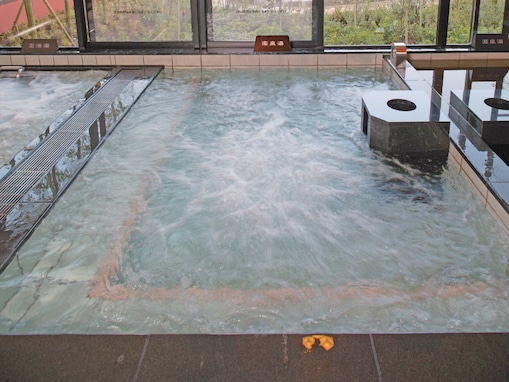 【埼玉県のスーパー銭湯】「極楽湯 羽生温泉」は天然温泉と多彩な浴槽が魅力の施設。庭園風の広大な露天風呂でリラックス