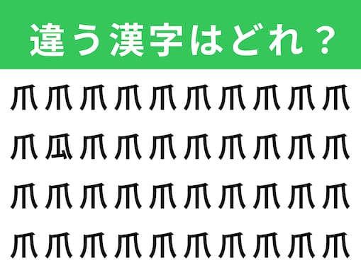 【漢字間違い探しクイズ】1分以内で挑戦しよう！ 「爪」の中にある別の漢字は？