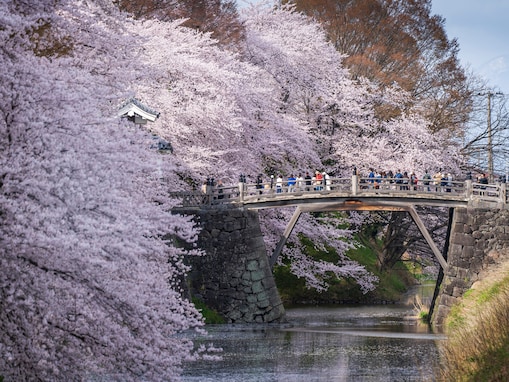 【山形県】入園無料！ 日本100名城、続百名城など…歴史好きにたまらない城跡公園3選