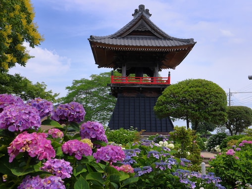 【埼玉県】あじさいの名所3選！ 無料の遊歩道、入園無料の公園、50種800株の古刹