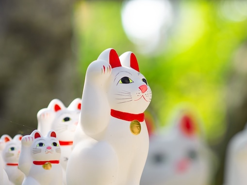 5月31日、金運を招く「巳の日」が到来！ ブルームーンの満月の日に豊かさを呼び込む行動とは？