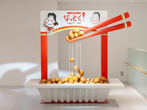 【茨城県】3施設すべて入場無料！ 納豆・ヨーグルト・マヨネーズ。食品工場見学3選