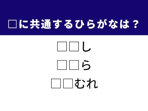 【ひらがなクイズ】1分ですっきり！  空欄に共通する2文字を埋めてみよう！ ヒントは掃除道具