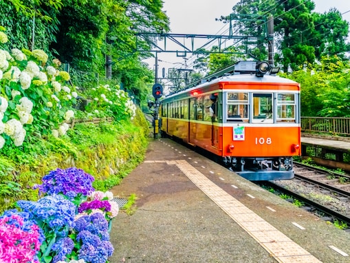 梅雨に行きたいと思う「神奈川県の旅行先」ランキング！ 2位「箱根」を抑えた1位は？【2026年調査】