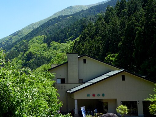 【山梨県の人気日帰り温泉】「紅椿の湯」は道志渓谷の大自然に囲まれた名湯。多彩な湯船とサウナ、源流水風呂が魅力