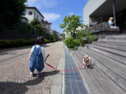 「もう歩いてるんですね」藤森慎吾、娘と愛犬の散歩ショット公開「幸せが溢れすぎてる…」「尊いの凝縮」