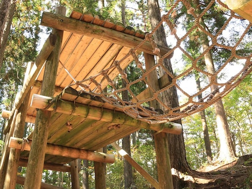【宮城県】3公園すべて入場無料！ アスレチックで体を動かせる、森の大型公園3選
