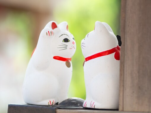 2026年6月12日は「一粒万倍日×巳の日」が重なる金運最強日！ やるといいこと・やらない方がいいことは？