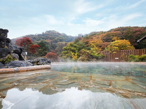 【岩手県の人気日帰り温泉】「うたたネカフェ さくらの湯」は、多彩な無料サービスと贅沢な癒やし空間が自慢の施設