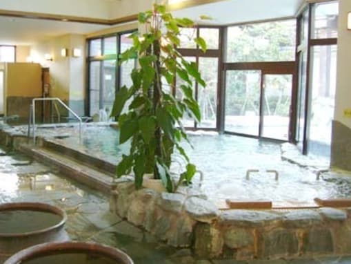 【静岡県の人気スーパー銭湯】「島田蓬莱の湯」は男女日替わりで趣の異なるお風呂が楽しめる施設。「高濃度炭酸泉」でリラックス