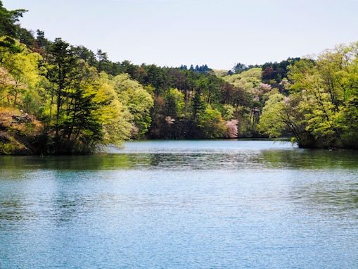 【宮城県】すべて入場無料！ 103haの自然公園から子どもに大人気の遊具広場まで…仙台市の大型公園3選
