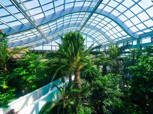 【東京都】無料＆大人360円！ 天文台・熱帯植物館・ミニ水族館も…梅雨に行きたいコスパ抜群スポット3選