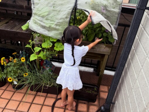和田正人、家庭菜園の世話をする娘の姿を公開！ 「子供たちが世話してくれてるのでパパは楽チン」